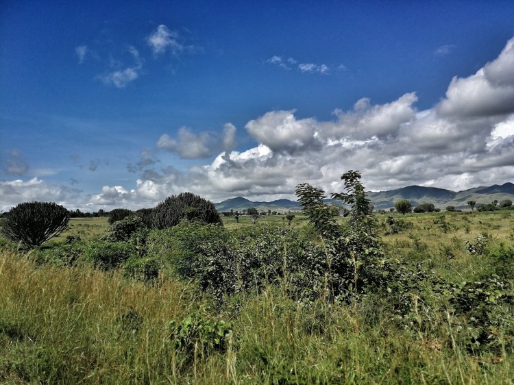 Picture Gillian 1.jpeg