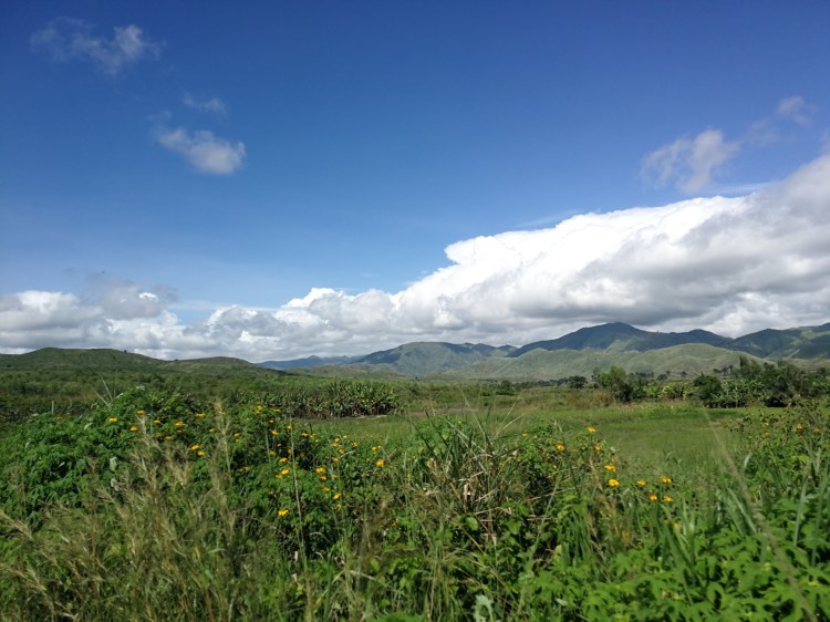 Picture Gillian 2.jpg